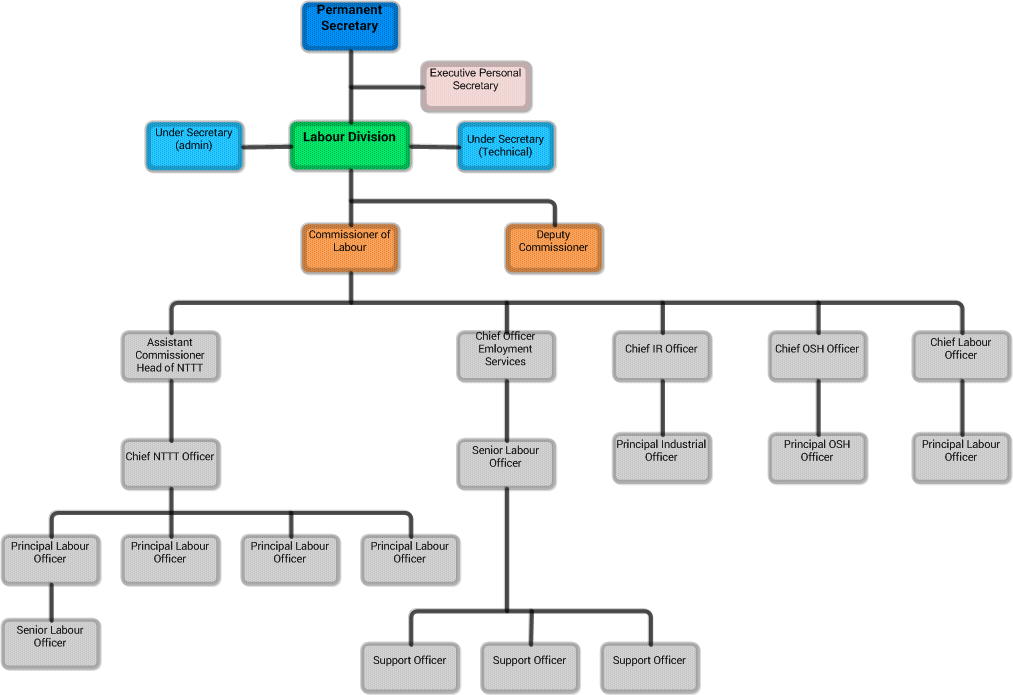 Labour Division Divisional Structure